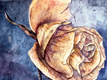 rose 2