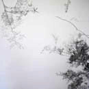 dark trees in the heart #1, 2 panels - each 120cm x 120cm