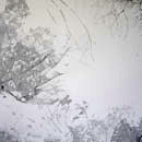 dark trees in the heart #1, 2 panels - each 120cm x 120cm