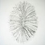 madrepore, graphite on watercolour paper, 50cm x 60cm