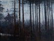 forest, oil paint on tracing paper, 80cm x 35cm