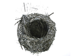 Nest