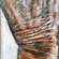 back of hand